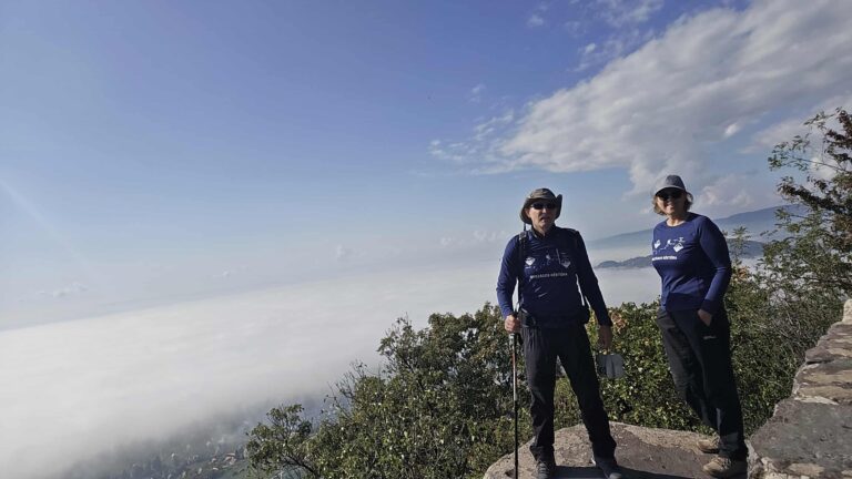 f5b919b0-5d4b-41b8-979b-2ee6f85f3183